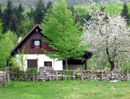 Pocitniska Hiska Jager Cezsoca Exterior foto