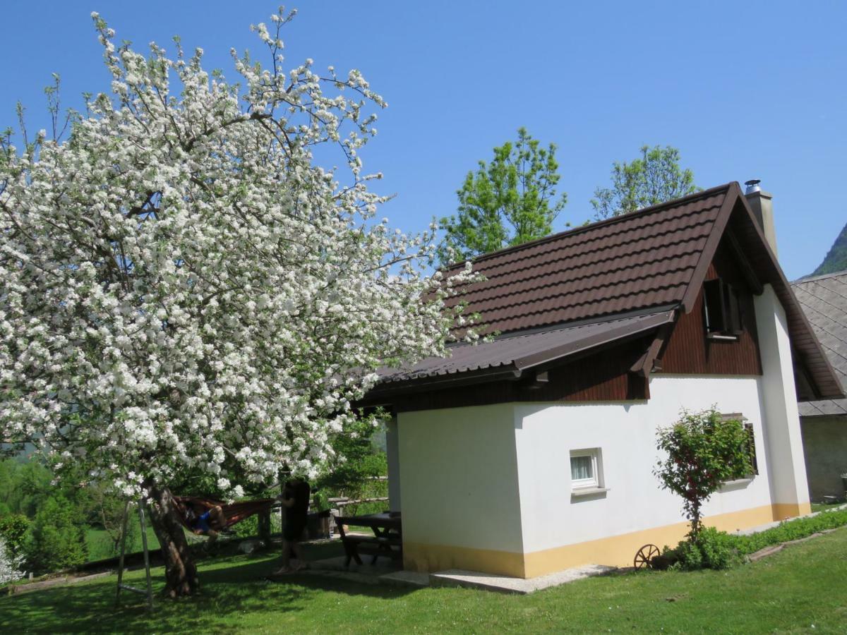 Pocitniska Hiska Jager Cezsoca Exterior foto