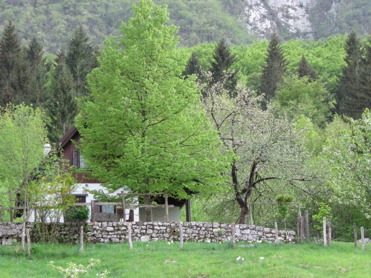 Pocitniska Hiska Jager Cezsoca Exterior foto